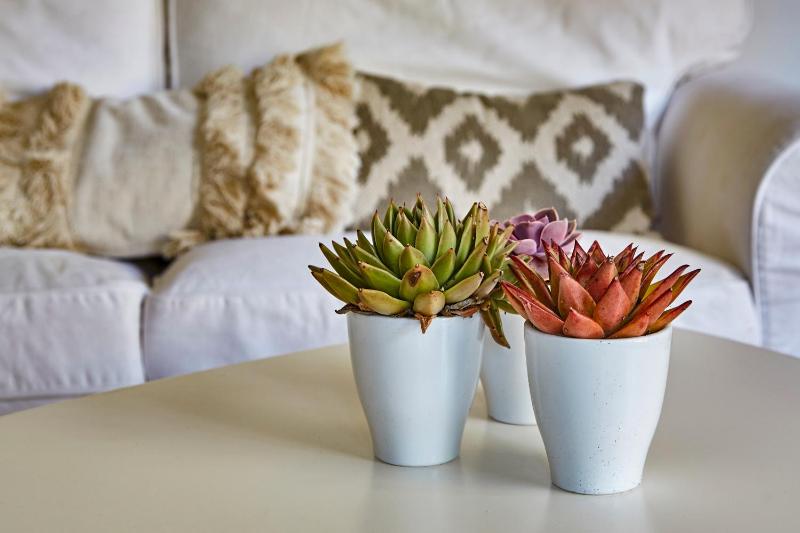 Holiday Home image 4