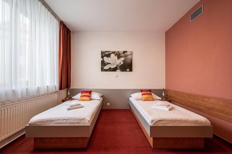Standard Twin Room image 2