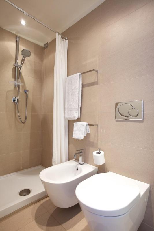 One-Bedroom Apartment image 3