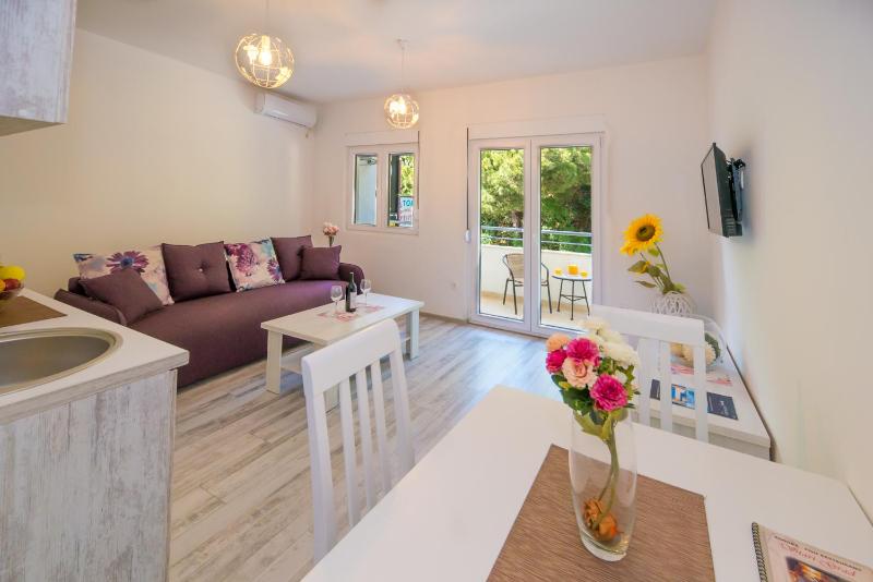 Studio with Terrace image 2