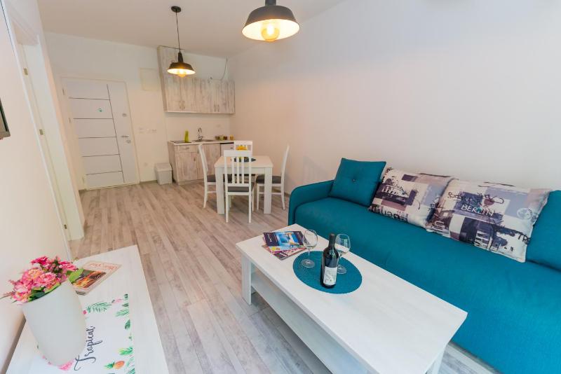 One-Bedroom Apartment image 3