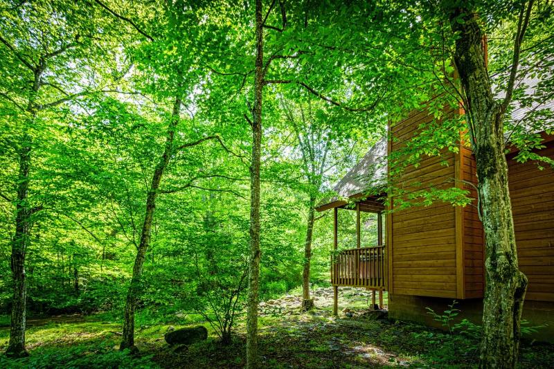 Chalet image 4