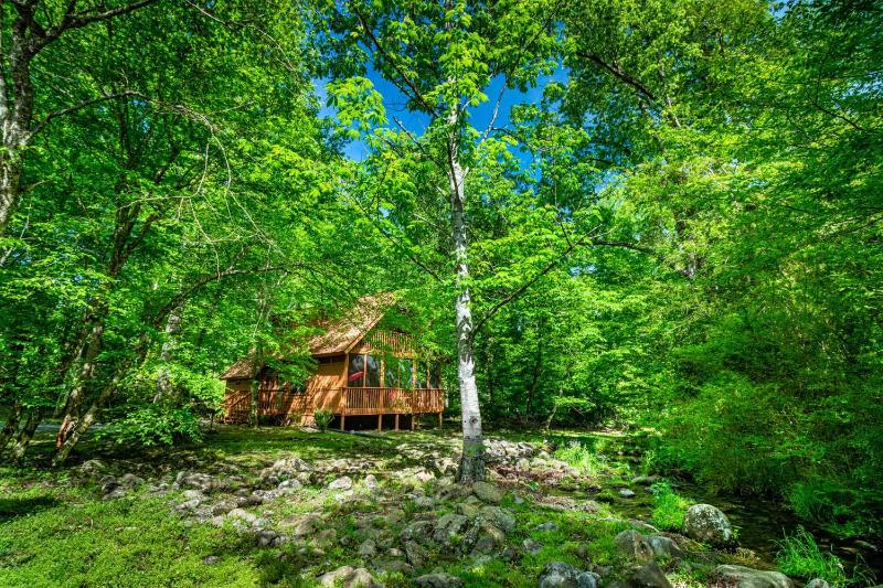 Chalet image 3