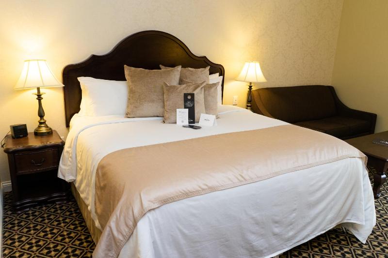 Superior Single Room image 4
