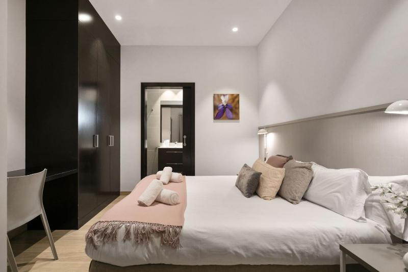 Fisa Rentals Gran Via Apartments - image 10