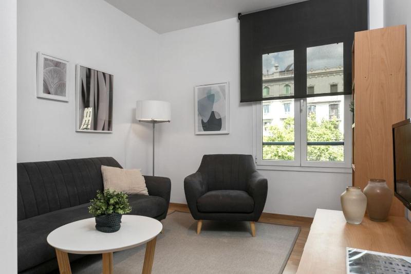 Fisa Rentals Gran Via Apartments - image 11