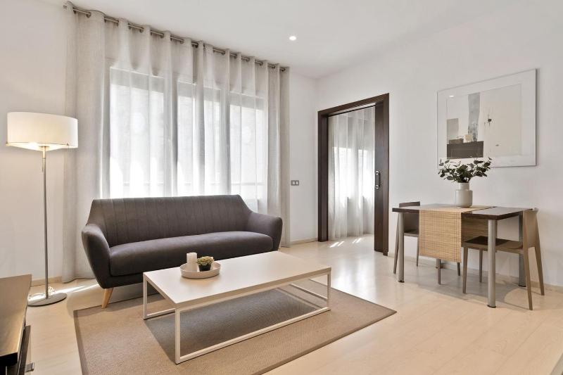Fisa Rentals Gran Via Apartments - image 2