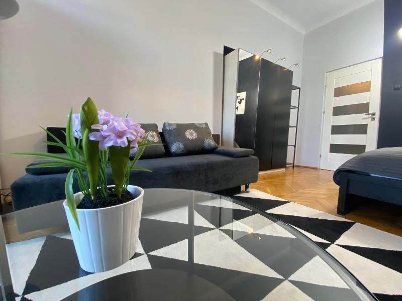 Studio Apartment image 4