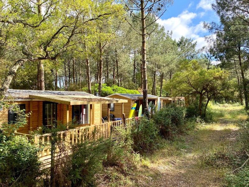 Deluxe Cottage Floresta Forest View (10-12 Persons) image 1