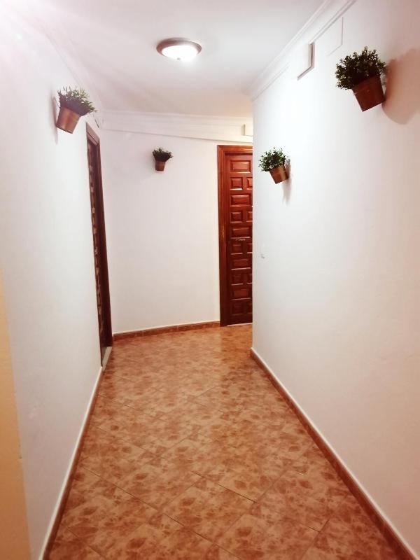 Hostal Buena Vista - image 2