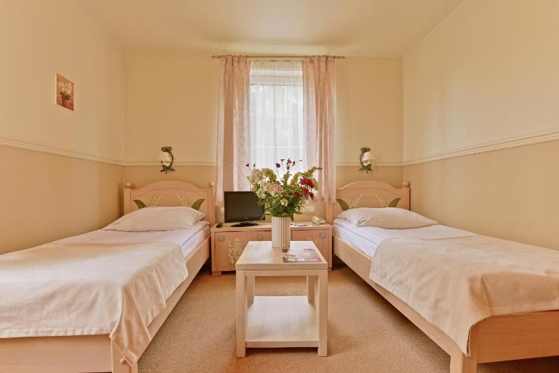 Standard Twin Room image 1