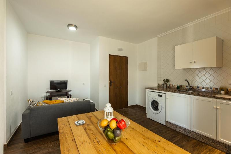 APARTAMENTO BOLONIA SUR A - image 1