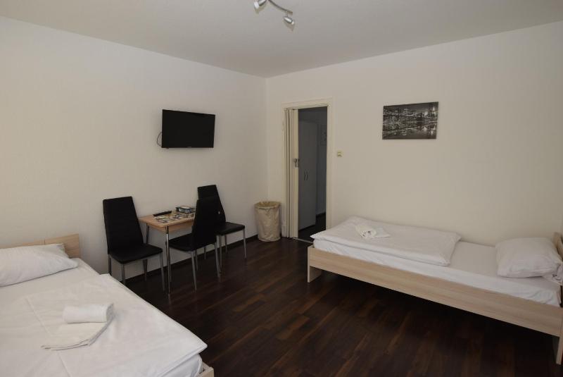 One-Bedroom Apartment image 3