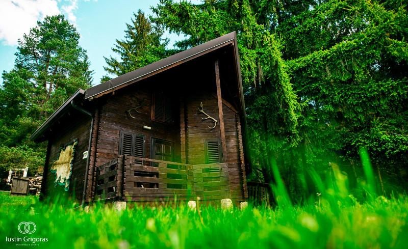 Holiday Home - Annex image 1