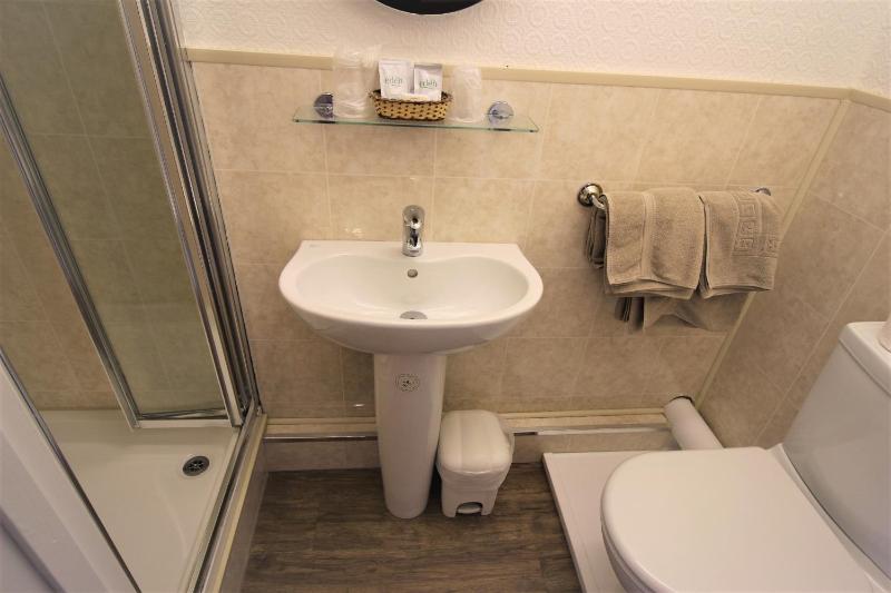 The Grand Hotel - image 28