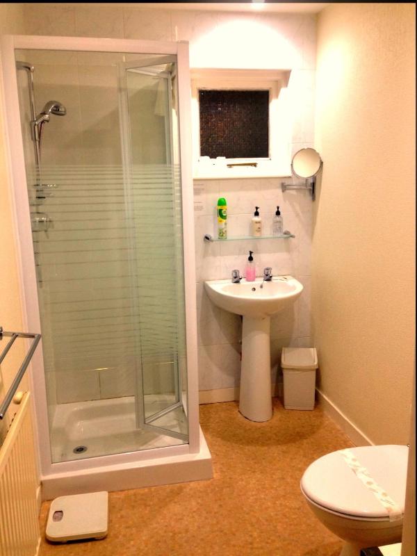 One-Bedroom Apartment image 2