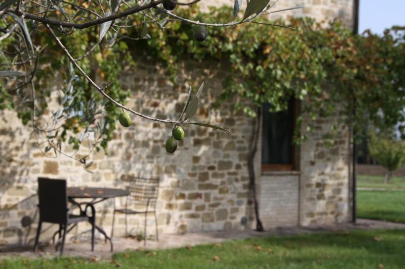 Valle di Assisi Country Apartments - image 6