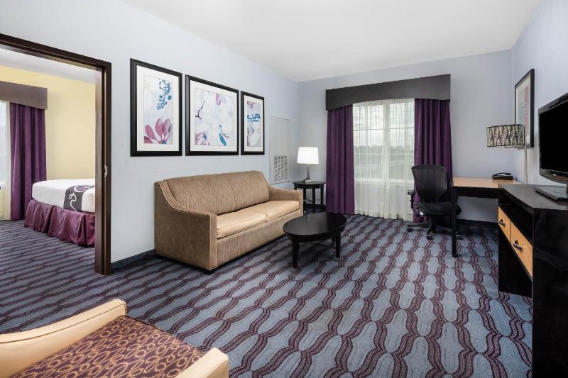 Deluxe King One-Bedroom Suite - Non-Smoking image 3