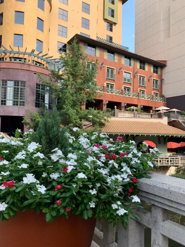 Hotel Valencia Riverwalk - image 18