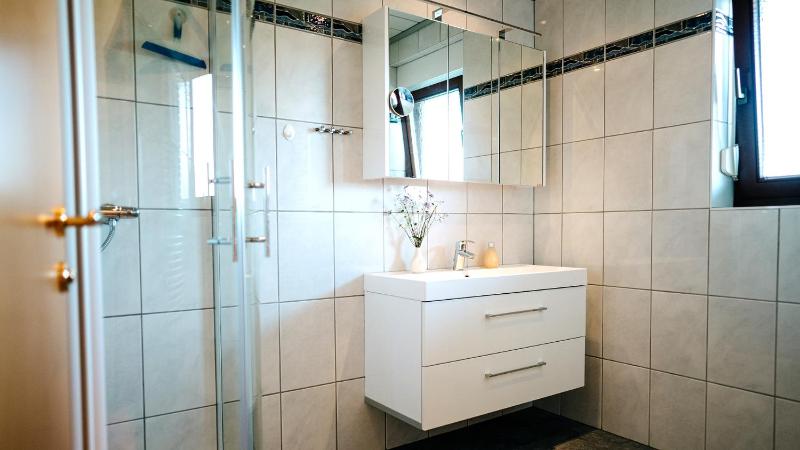 One-Bedroom Apartment image 3