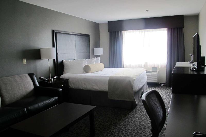King Suite with One King Bed and Sofa Bed - Non-Smoking image 2