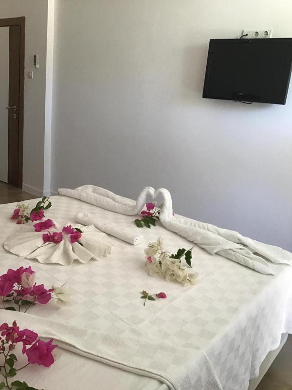 Double or Twin Room Half Board image 4