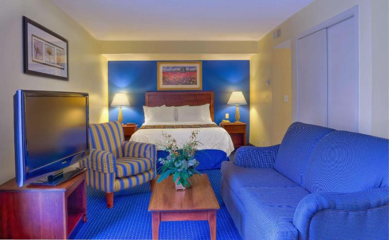 Studio Queen Suite with Sofa Bed image 2