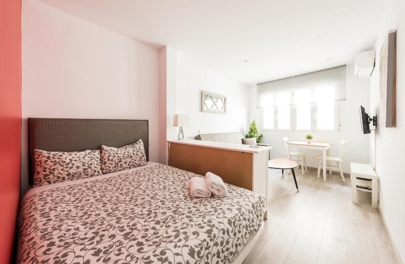 One-Bedroom Apartment image 2
