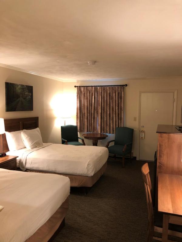 Standard Double Room with Two Double Beds image 4