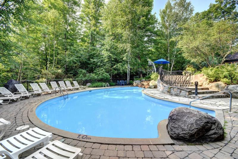 Le Sous-Bois (Les Manoirs) Mont-Tremblant - image 13