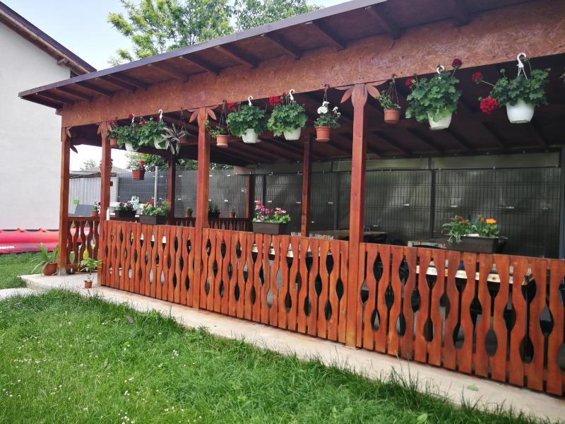 Vila Baciu Images