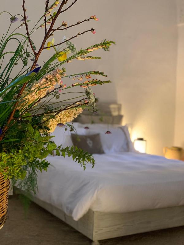 Superior Room image 2