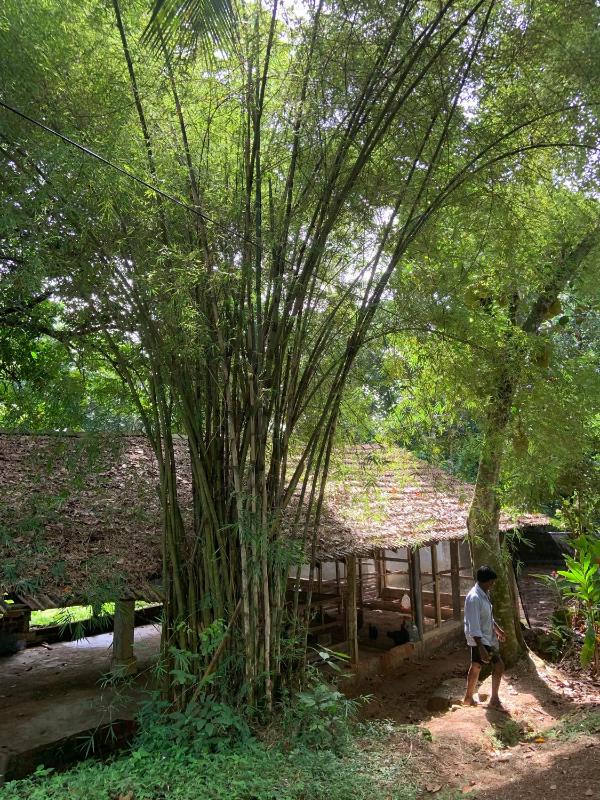 Sri Mathie Historic Estate - image 38