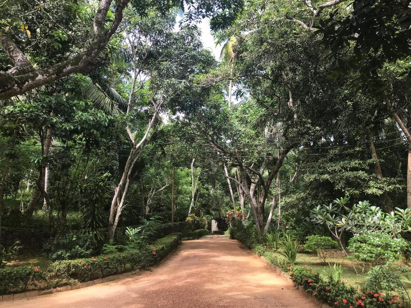 Sri Mathie Historic Estate - image 47
