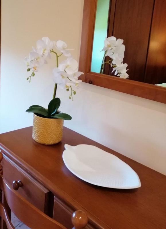 Apartamentos Marsó - image 2