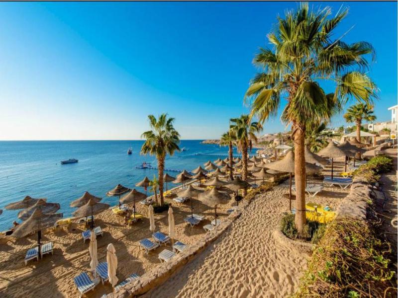 Concorde El Salam Sharm El Sheikh Sport Hotel - image 20