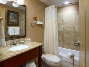 Room #5928317 image 3