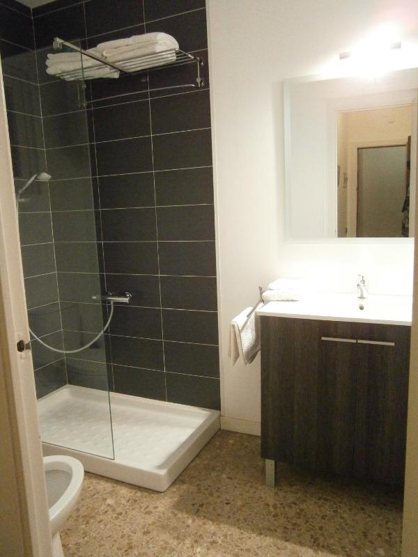 One-Bedroom Apartment image 2