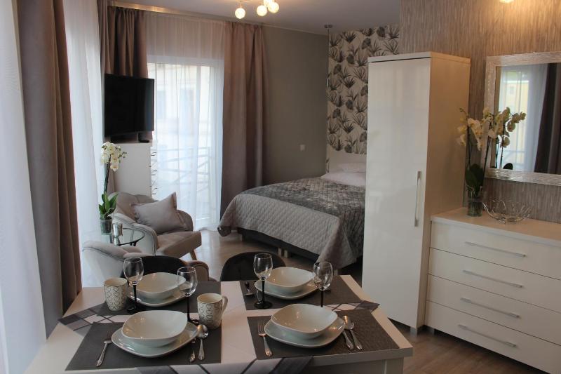 One-Bedroom Apartment image 4