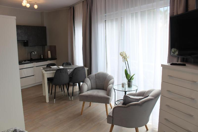 One-Bedroom Apartment image 2