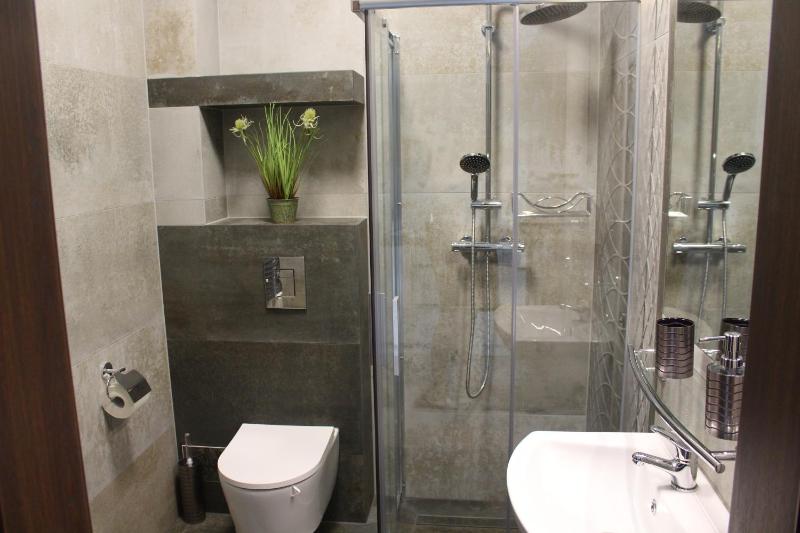 One-Bedroom Apartment image 3
