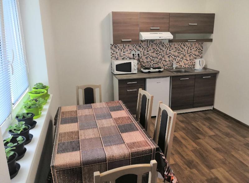 One-Bedroom Apartment image 3