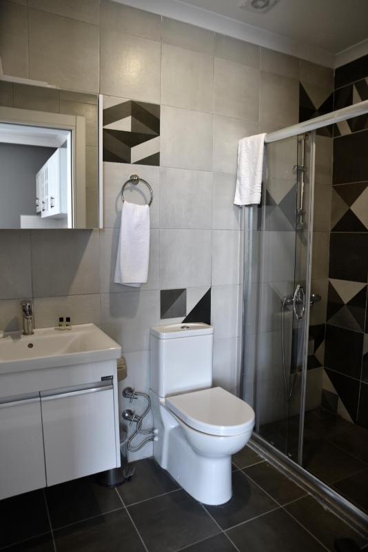 One-Bedroom Apartment image 4