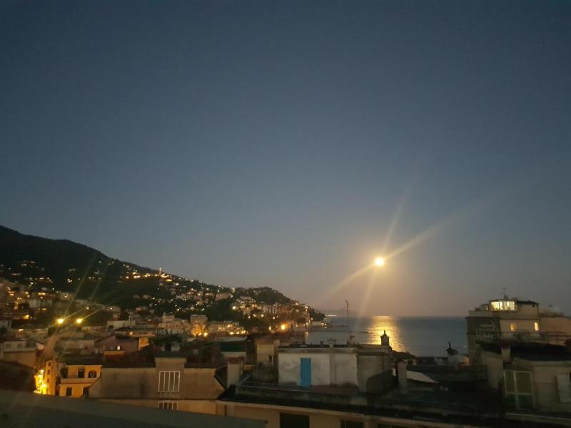 Seaview Rapallo's Heart Skyline - image 37
