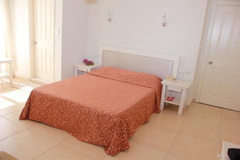 Standard Double or Twin Room image 3