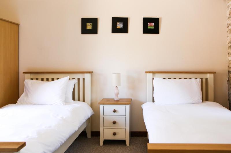 Deluxe Twin Room image 4