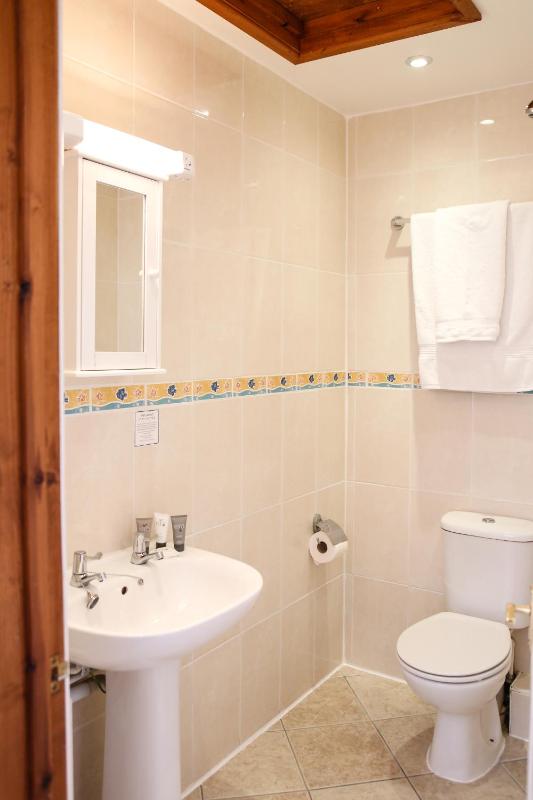 Single Room image 4