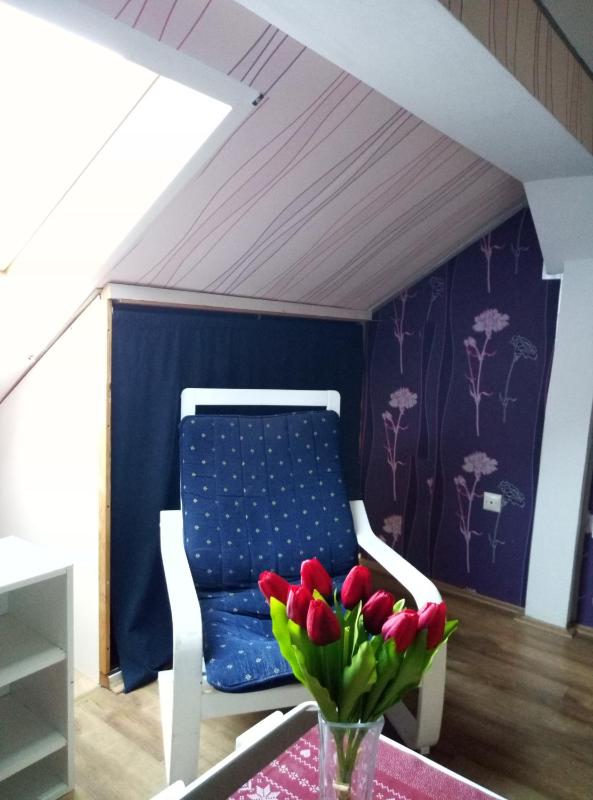 One-Bedroom Apartment image 3