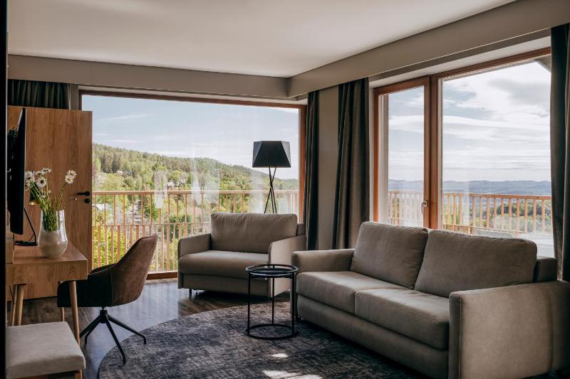 Premium Suite with Whirlpool and Terrace image 4