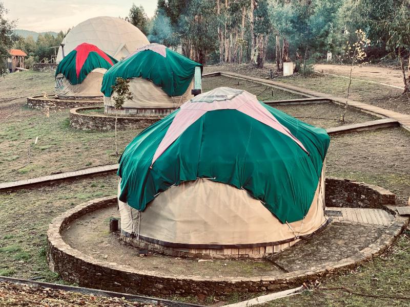 Tent Yurt image 2
